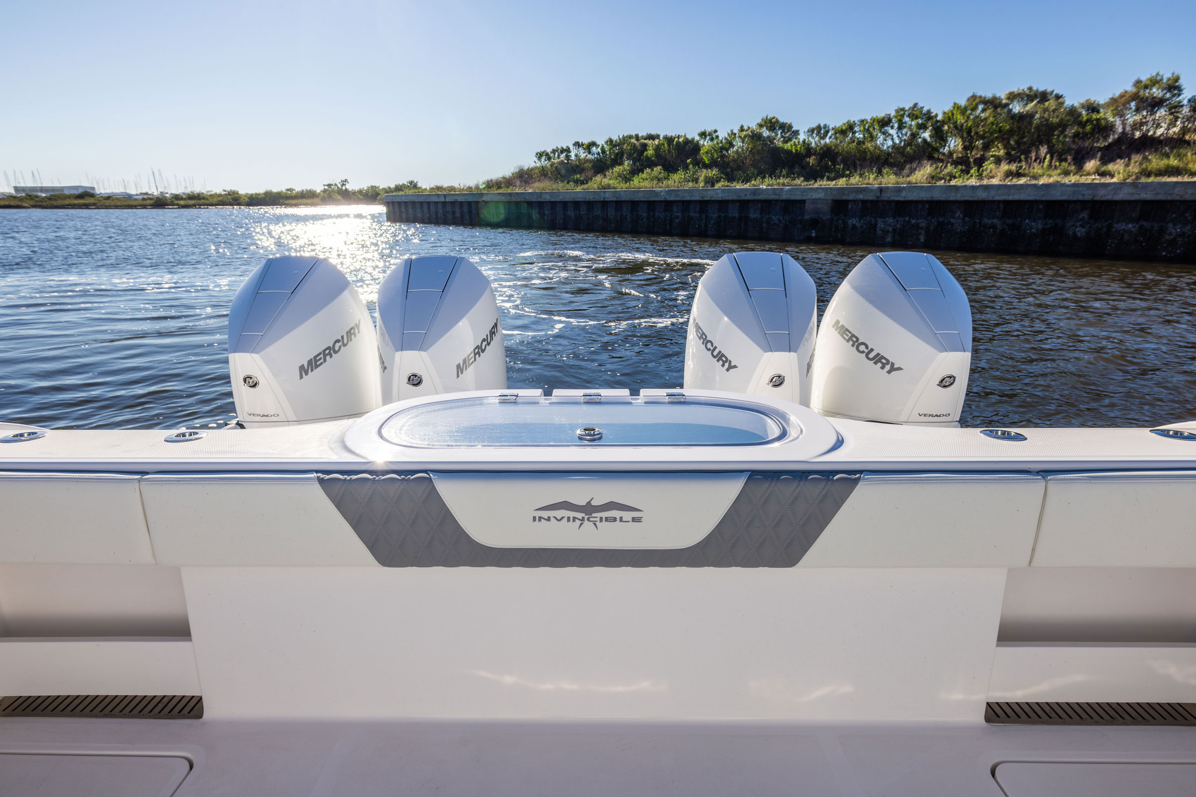Invincible 38' Catamaran view from back deck